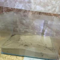 اکواریوم سالم