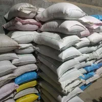 گندم و جو بذری|خدمات باغبانی و درختکاری|گمیشان, |دیوار