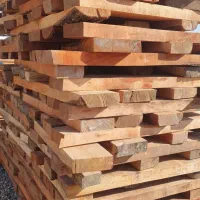 چوب توسکا وجنگلی