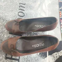 کفش|کیف، کفش، کمربند|مشهد, نظام دوست|دیوار