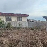 زمین ۱۷۶ متری در چالوس