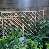 دو عدد پنجره upvc برند وین تک(دوجداره)|مصالح و تجهیزات ساختمان|نور, |دیوار