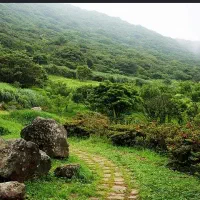 فروش-زمین-باغی-مسکونی