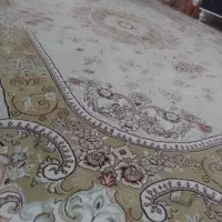 یک جفت فرش ۷۰۰ شانه تراکم بالا در حدنو  کرم رنگ|فرش|تربت‌حیدریه, ۴۵ متری|دیوار