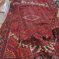 فرش دست بافت|فرش|سهند, |دیوار