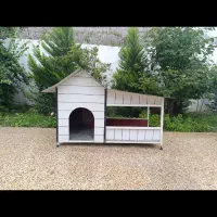 خانه سگ|لوازم جانبی حیوانات|ساری, |دیوار