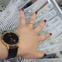 فنری زن و فروشنده کتاب