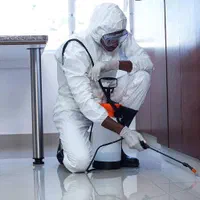 سمپاشی حشرات