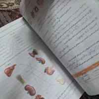 کتاب کار همراه جزوه|کتاب و مجله آموزشی|اصفهان, ملاصدرا|دیوار