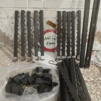 شاخه رگال نو مشکی