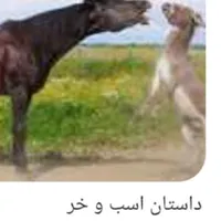 اسب و خر پیدا شد با دادن نشانی ان را تحویل بگیرید|حیوانات|قوچان, |دیوار