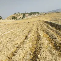 فروش ۶۰۰ متری
