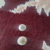 مهره ما|جواهرات|کنگاور, |دیوار