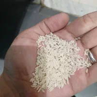 برنج طارم درجه یک کشت دوم کیلویی 275|حراج|کرج, اصفهانی‌ها|دیوار