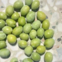 فروش زیتون سبز فیشوم ورطبی درجه یک دست چین|خوردنی و آشامیدنی|شیراز, باغ تخت|دیوار