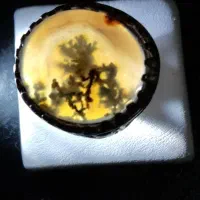 انگشتر نقره دست ساز کلکسیونی طلا پاش|جواهرات|شیراز, شاپورجان|دیوار