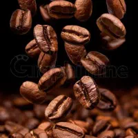 قهوه و پودریجات