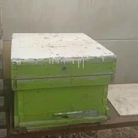 فروش کندو زنبور عسل خالی