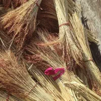 جاروشهری|لوازم نظافت|بروجرد, |دیوار