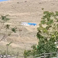 کاه یونجه کوبیده شده صنعتی