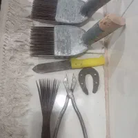 شانه و نعل اسب