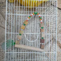 سلام لوازم قفس با قفس نو