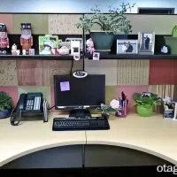 اخذ راحت نمایندگی