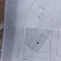 یک دانگ زمین