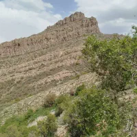 ماهی قزل‌آلا تازه تازه