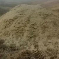 فروش کاه گندم