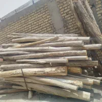 خریدار انواع چوب بید صنوبر باغی و تیرسقفی نقدی|خدمات باغبانی و درختکاری|الیگودرز, |دیوار