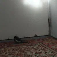 خدمات