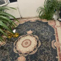 دو عدد فرش ۹ متری ساوین درحد
