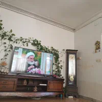 چند عدد گلدان طبیعی و ۶ عدد پشتی نو