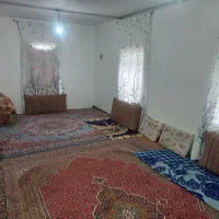 ۸۰۰۰مترگاوداری گلخانه|فروش دفتر صنعتی، کشاورزی، تجاری|ضیاء آباد, |دیوار