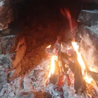 نیروی کار جوان