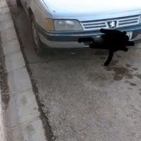 پژو 405 مدل 92 کارمندی فنی سالم در حد کارکرد260|خودرو سواری و وانت|جوادآباد, |دیوار