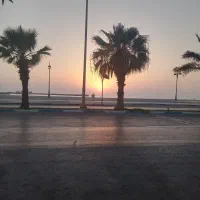 راهنمایی کنین برم ترکیه