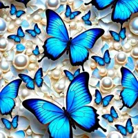دو جلد قرآن کریم