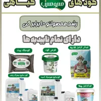 باردهی ده برابری باکودهای ارگانیک وگیاهی سبوسیب
