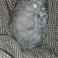 فروش شهاب سنگ|کلکسیون اشیاء عتیقه|چاه داد خدا, |دیوار