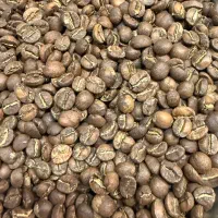 فروش قهوه عمده و جزئی