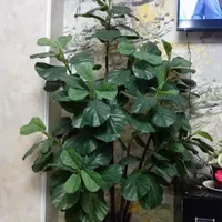 گل مصنوعی|گل مصنوعی|تهران, سنگلج|دیوار