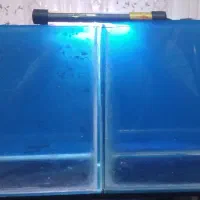 آکواریوم دست ساز عالیه