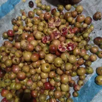 خوردن آشامیدن