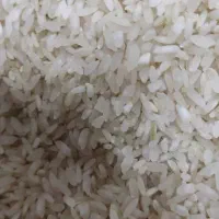 خشکباری ارزانکده مرغوب|خوردنی و آشامیدنی|شیراز, دست خضر|دیوار