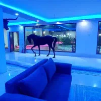 700-متر-باغ-ویلا-لاکچری-مبله-فوق-کاسبی