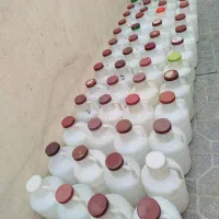 دبه خیار شور