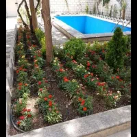خدمات باغبانی تعویض خاک گلدان در منزل و غیره|خدمات باغبانی و درختکاری|تهران, صادقیه|دیوار