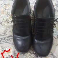 کفش|کیف، کفش، کمربند|مشهد, طبرسی شمالی|دیوار